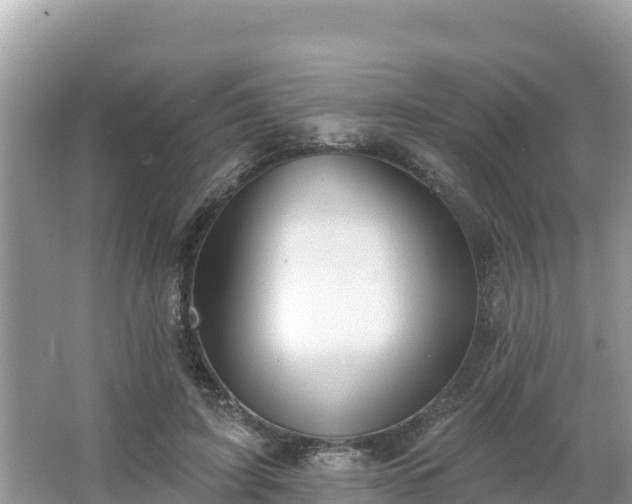 X0000066010595200603101559