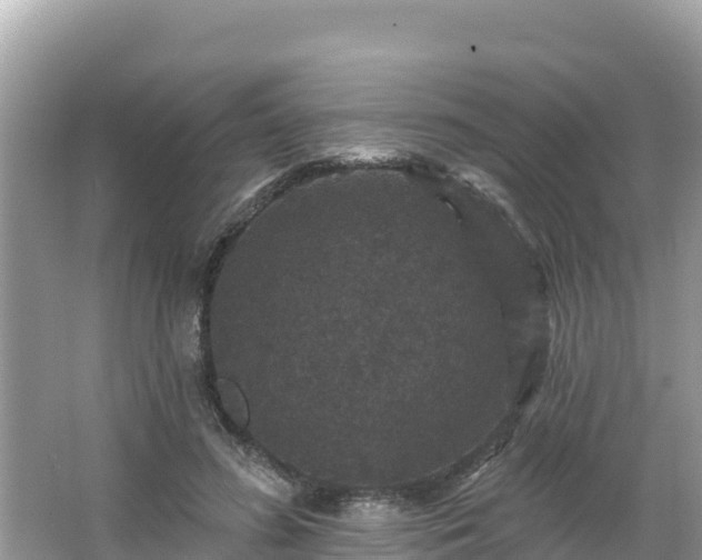 X0000066010596200603101559