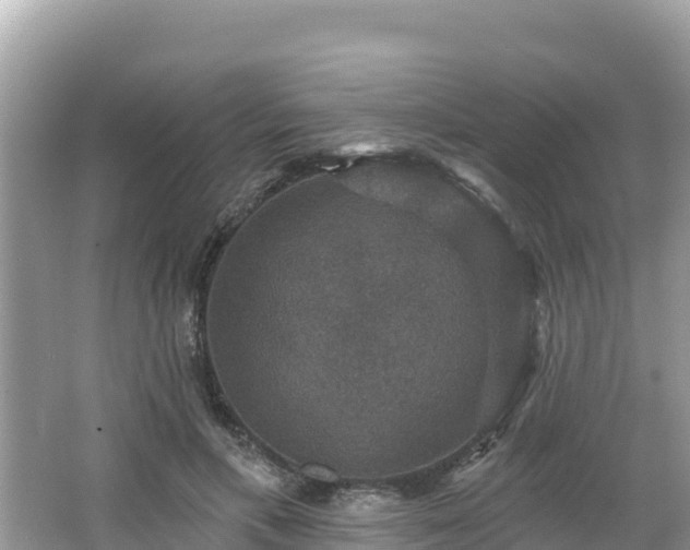 X0000066010597200603101559