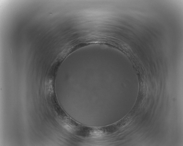 X0000066010598200603101558