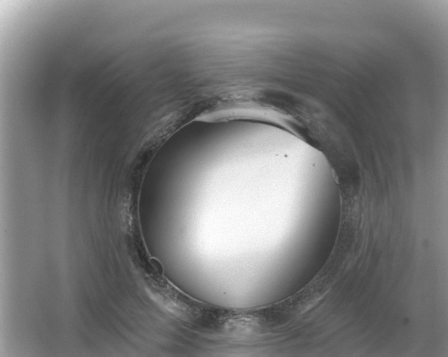 X0000066010599200603101558