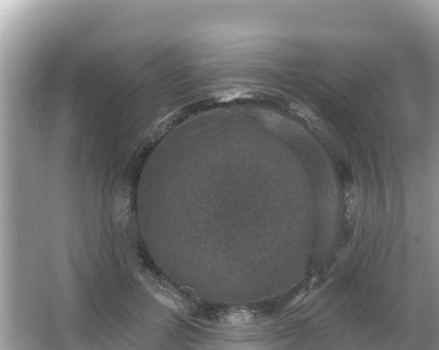 X0000066010600200603101558