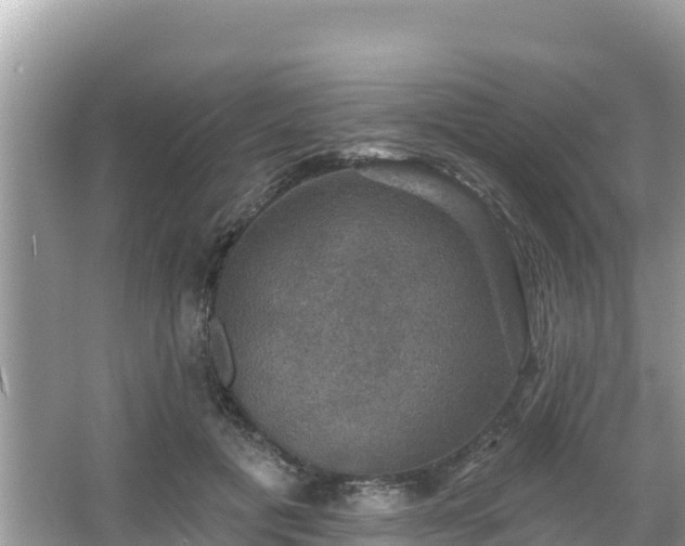 X0000066010601200603101558