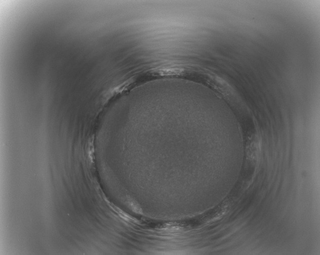 X0000066010604200603101558