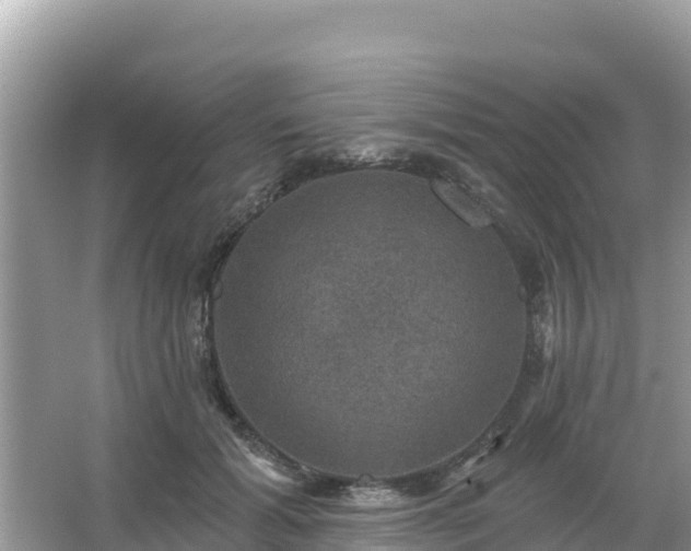 X0000066010605200603101558