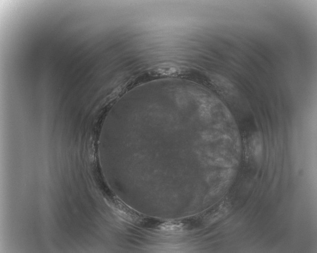 X0000066010606200603101558