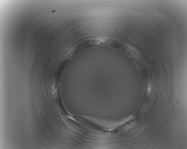 X0000066010607200603101558