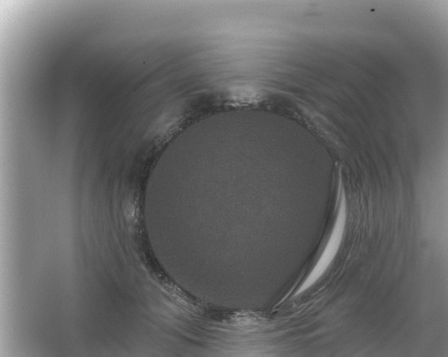 X0000066010608200603101558