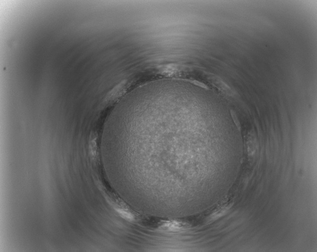 X0000066010611200603101558