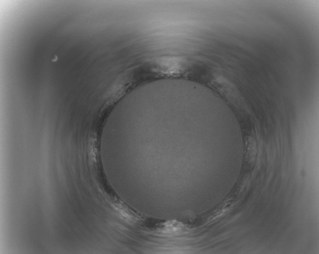 X0000066010612200603101558