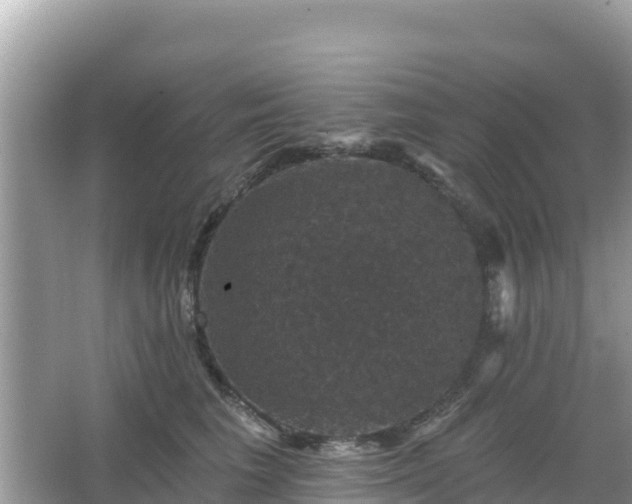 X0000066010613200603101558