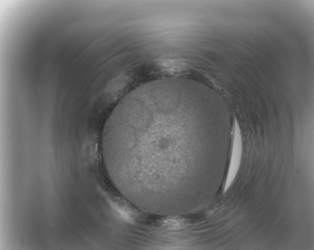 X0000066010615200603101558