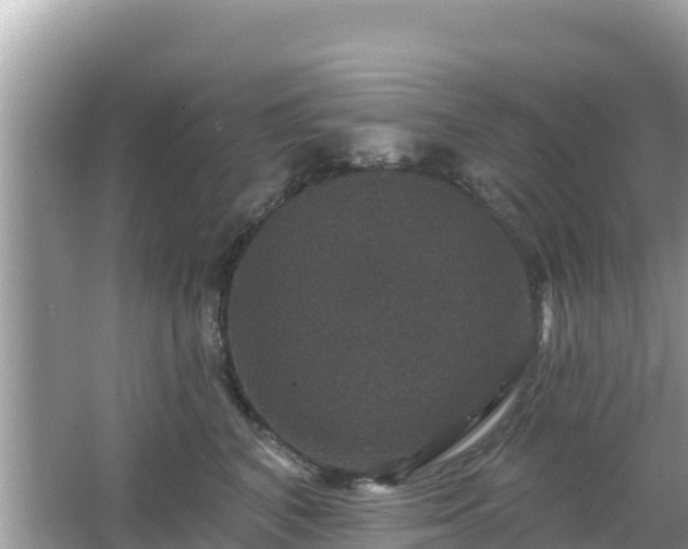 X0000066010616200603101558