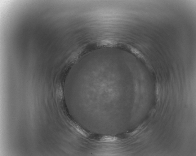 X0000066010617200603101558