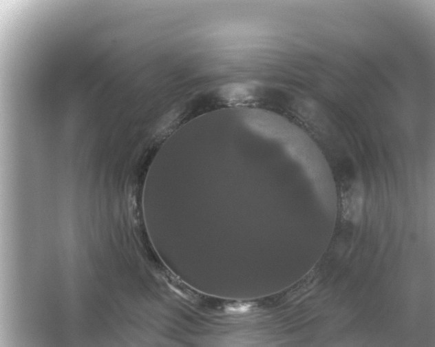 X0000066010618200603101558