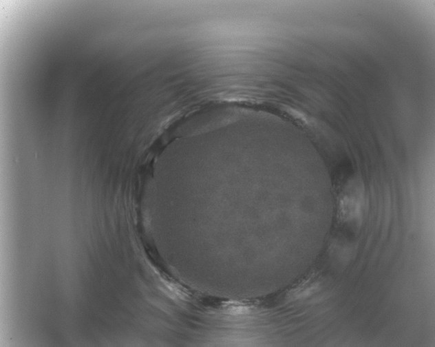 X0000066010620200603101558