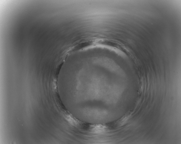 X0000066010621200603101558