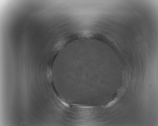 X0000066010624200603101558