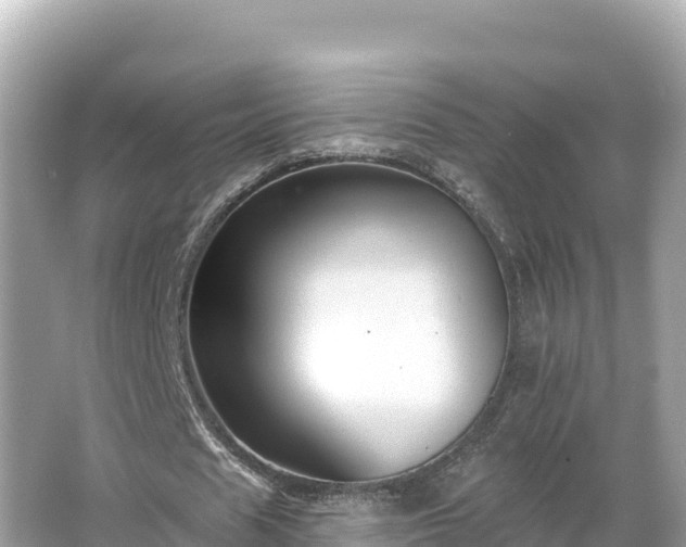 X0000066010625200603101557