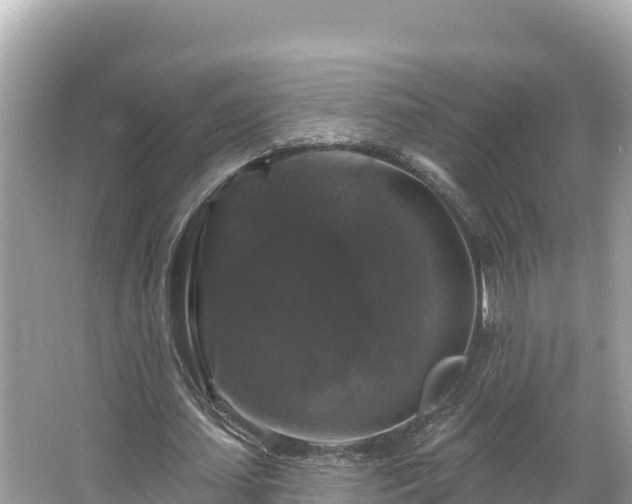 X0000066010627200603101557