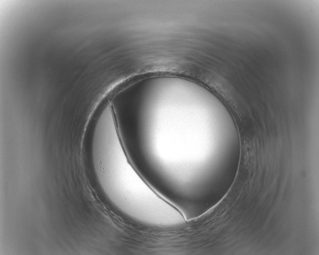 X0000066010628200603101557