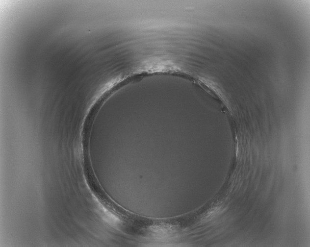 X0000066010630200603101557