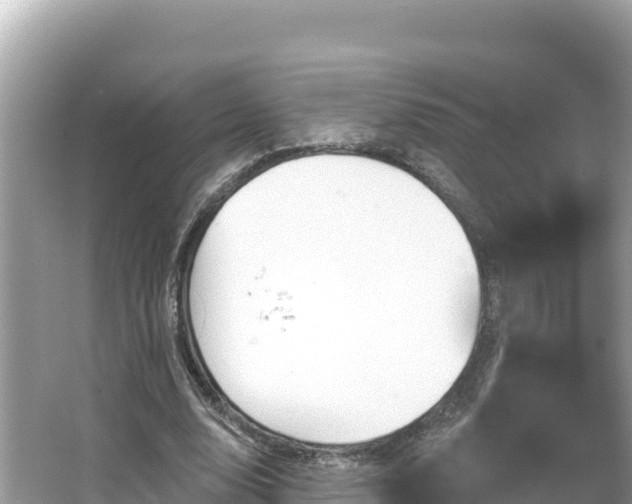 X0000066010632200603101557