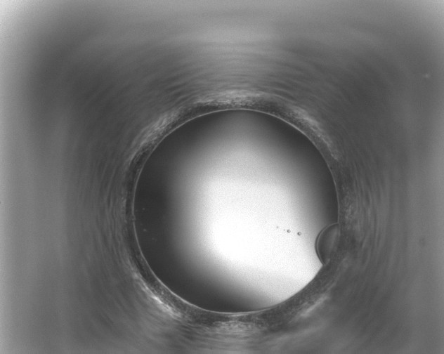 X0000066010633200603101557