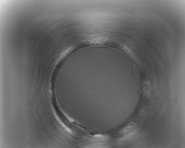 X0000066010634200603101557