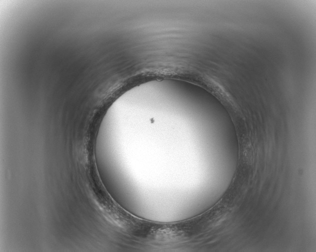 X0000066010635200603101557