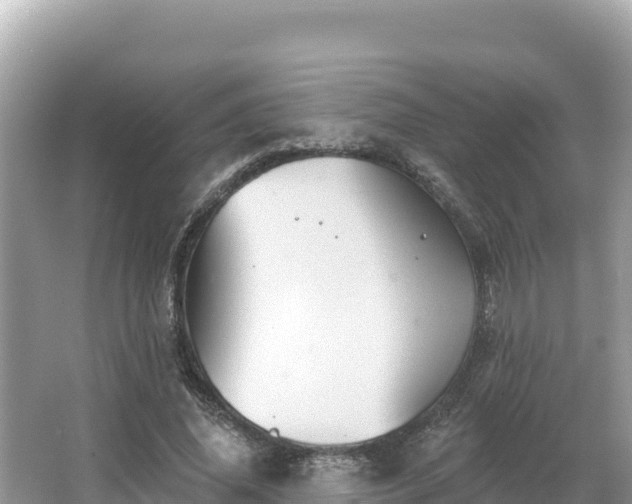 X0000066010636200603101557