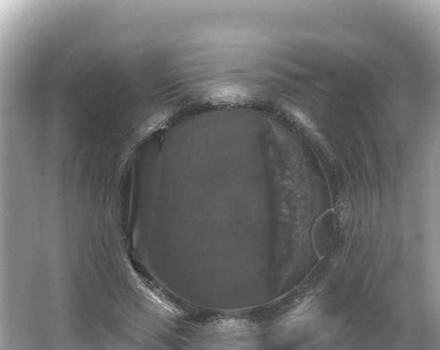 X0000066010637200603101557