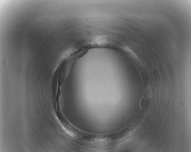 X0000066010638200603101557