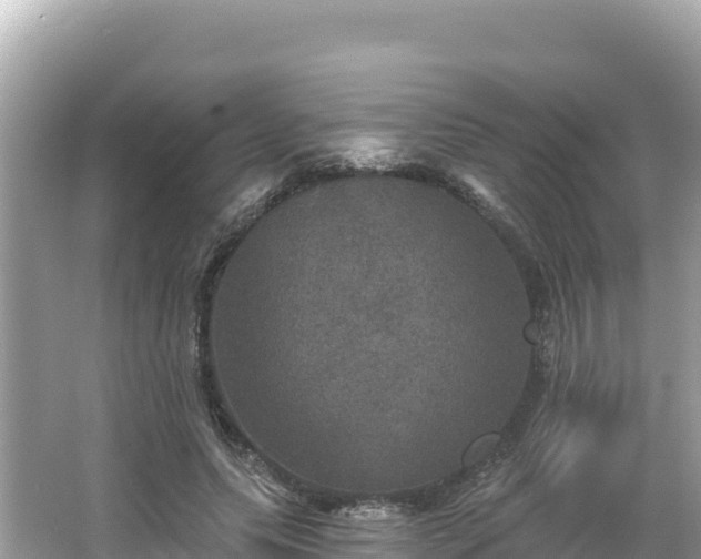 X0000066010639200603101557