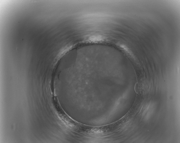 X0000066010640200603101557