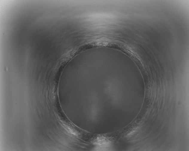 X0000066010641200603101558