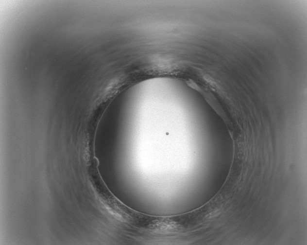 X0000066010642200603101558