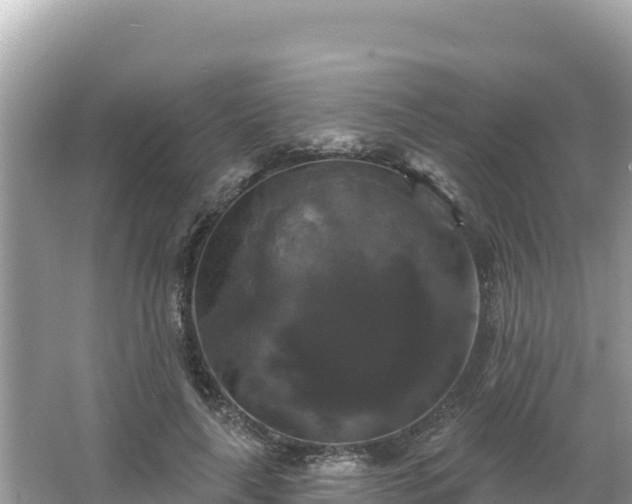 X0000066010643200603101558