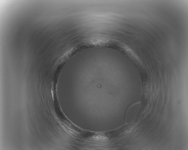 X0000066010644200603101558