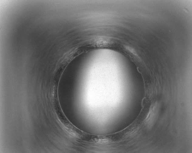 X0000066010645200603101558