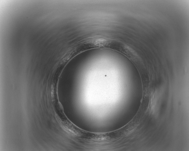 X0000066010646200603101558