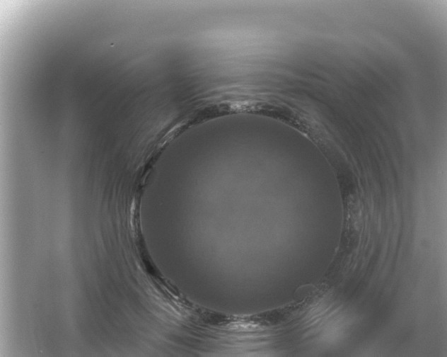 X0000066010650200603101558