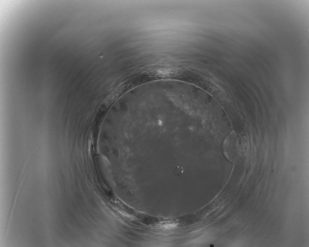 X0000066010651200603101558