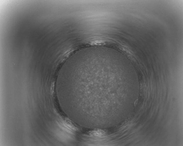 X0000066010652200603101558