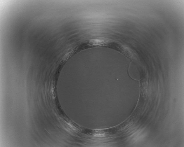 X0000066010653200603101558