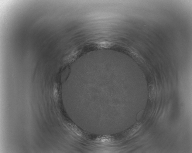 X0000066010655200603101558