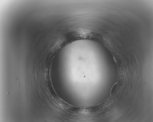 X0000066010656200603101558