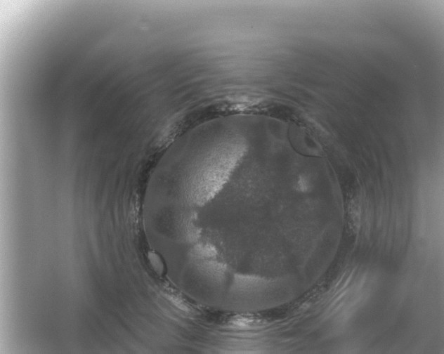 X0000066010657200603101558