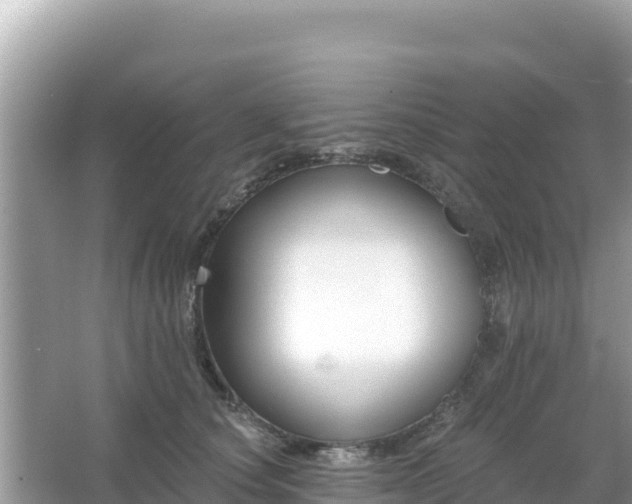 X0000066010660200603101558