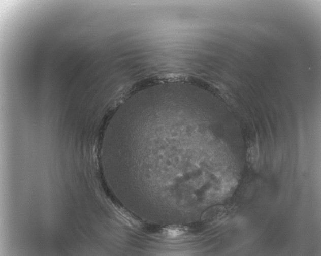 X0000066010662200603101558